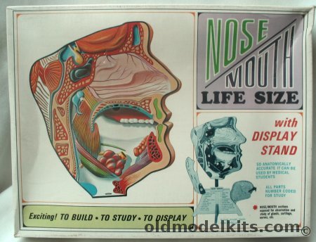 Pyro 1/1 Life-Size Nose and Mouth - With Display Stand, S374-300 plastic model kit